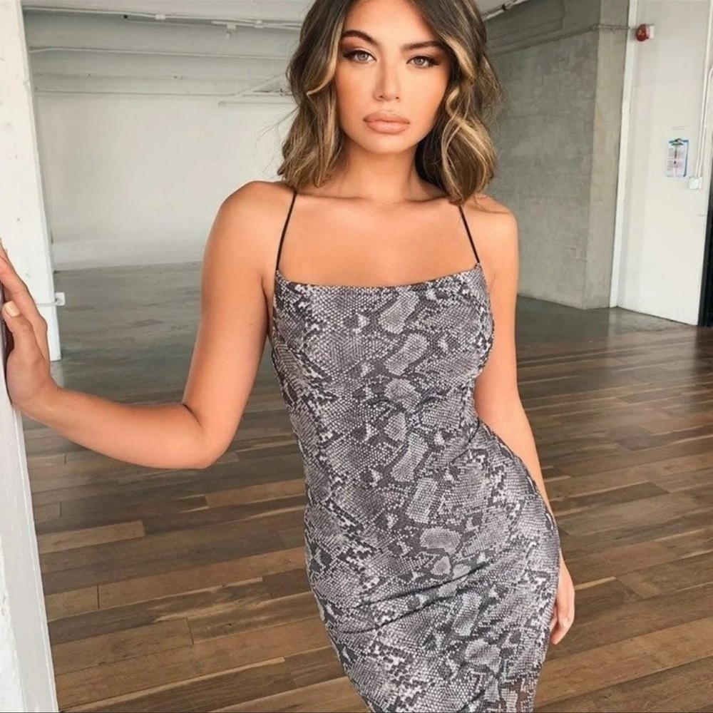 NWT | Tiger Mist | Snakeskin | Nordstrom | Dresses